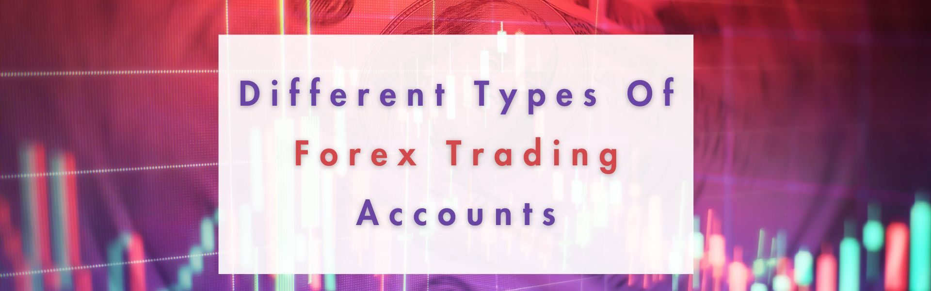 Forex-Trading-Accounts